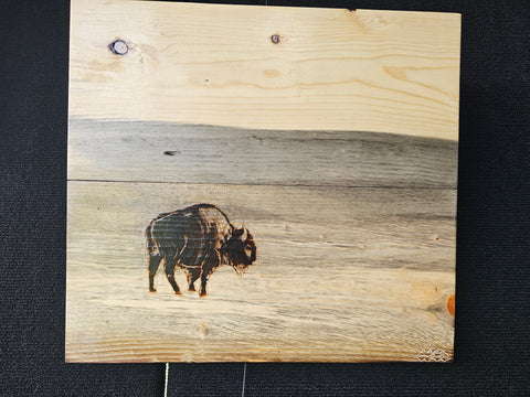 High Plains Bison