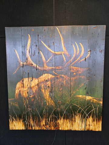 Elk (large)