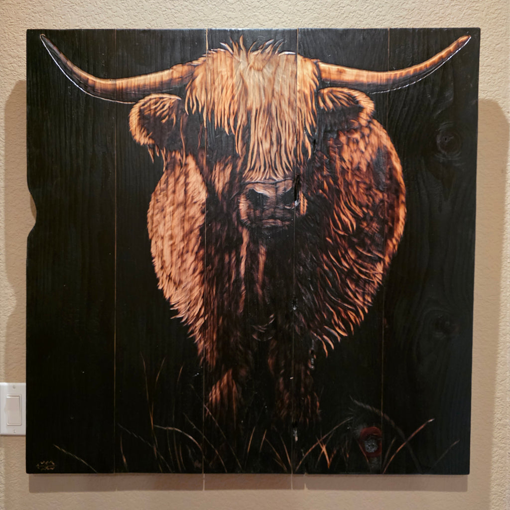 Scottish Highland Cow