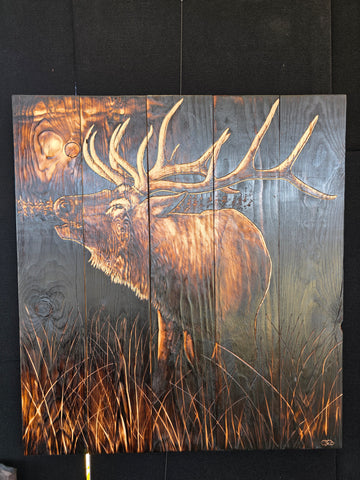 Elk