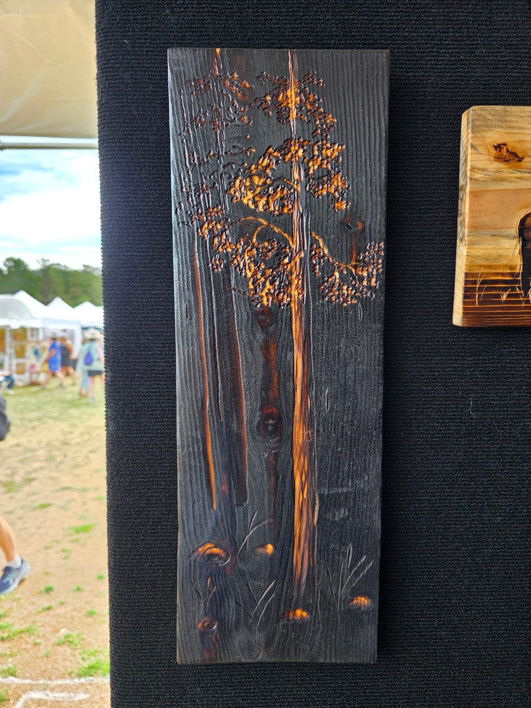 Lodgepole