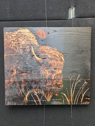 Bison Bust