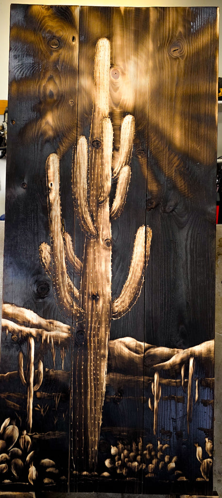 Saguaro Night Scene