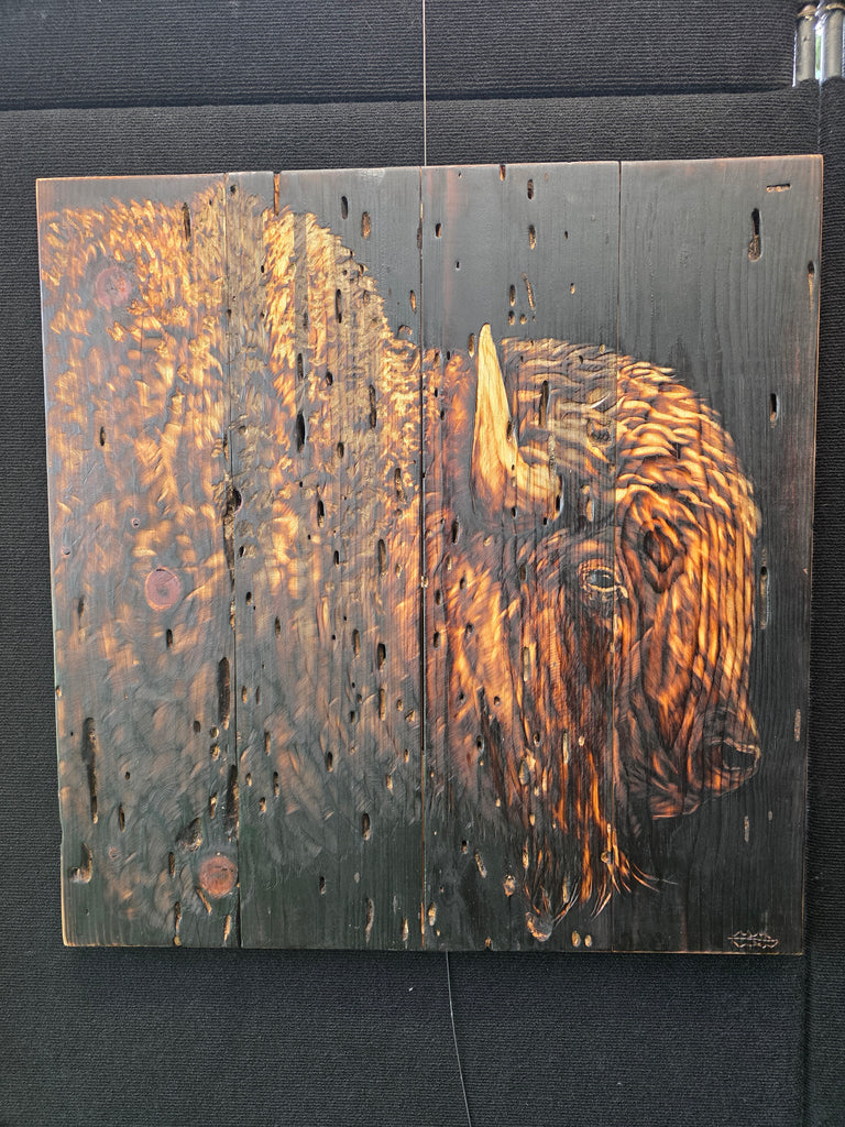 Bison Bust