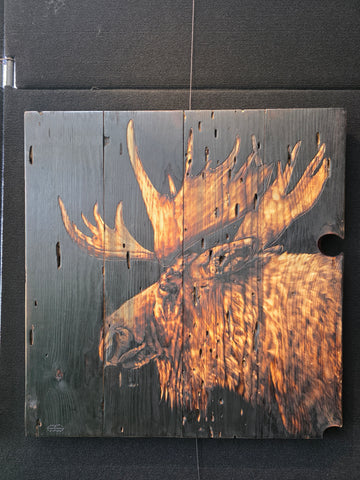 Moose