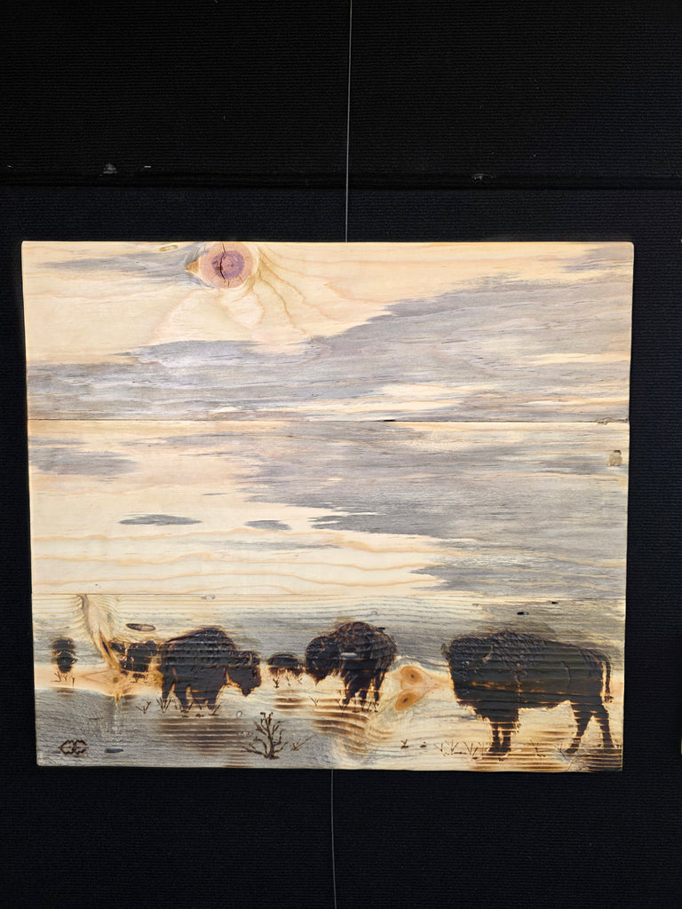 Bison Herd