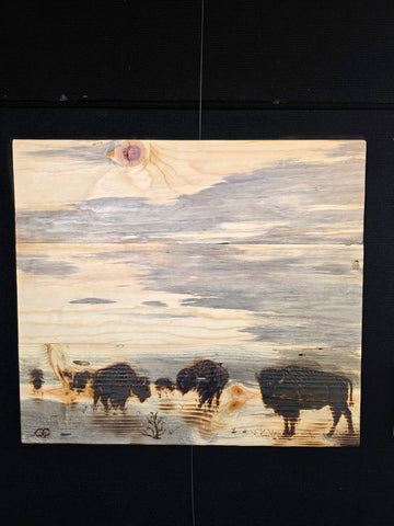 Bison Herd