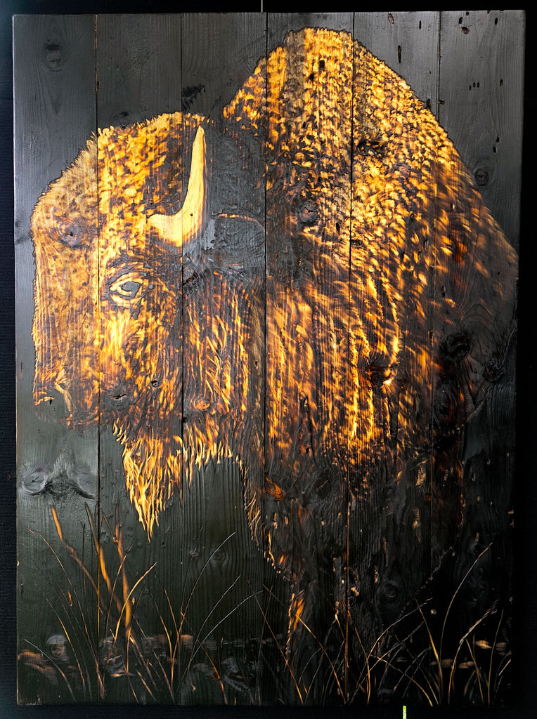 Bison Nights