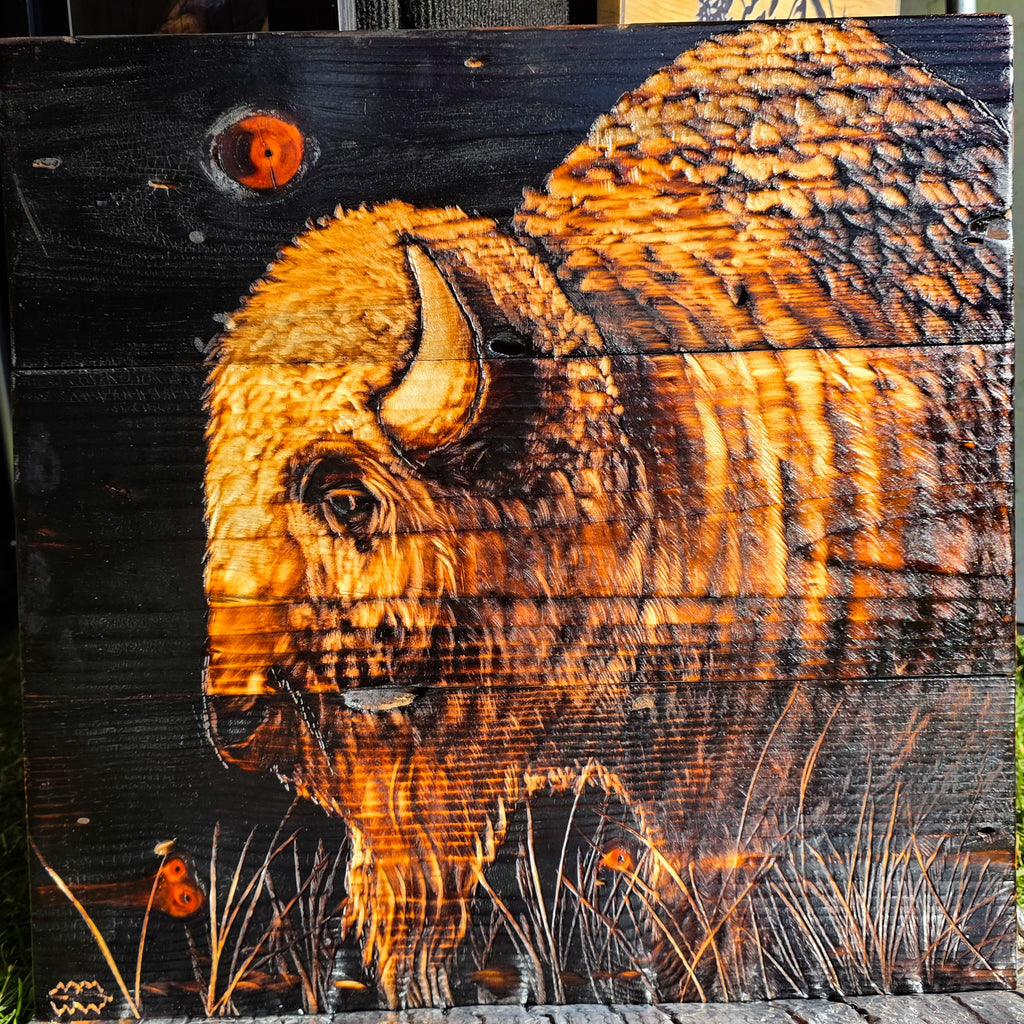 Bison (small)