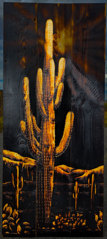 Saguaro Night Scene