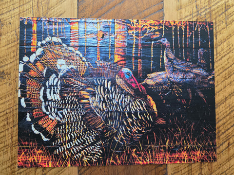 Wild Turkeys Prints